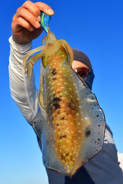 Fisherman Dreams DI 釣果