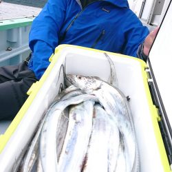 ＫＯＮＡＹＡｰＭＡＲＵ（こなや丸） 釣果