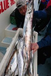 ＫＯＮＡＹＡｰＭＡＲＵ（こなや丸） 釣果