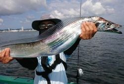 ＫＯＮＡＹＡｰＭＡＲＵ（こなや丸） 釣果