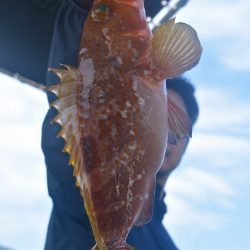 Fisherman Dreams DI 釣果