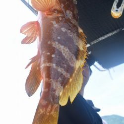 Fisherman Dreams DI 釣果