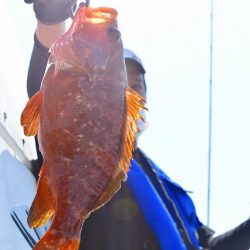 Fisherman Dreams DI 釣果