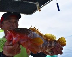 Fisherman Dreams DI 釣果