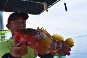 Fisherman Dreams DI 釣果