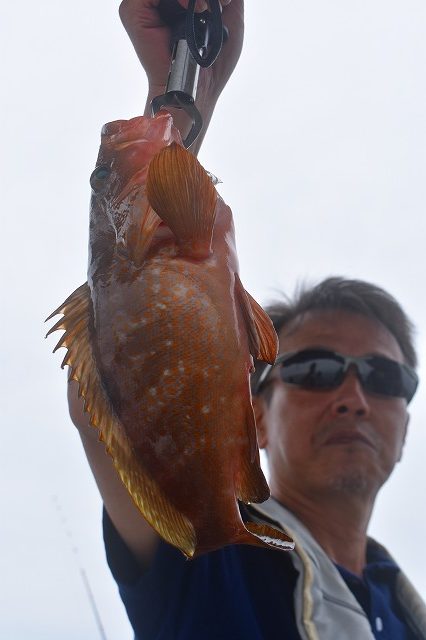 Fisherman Dreams DI 釣果