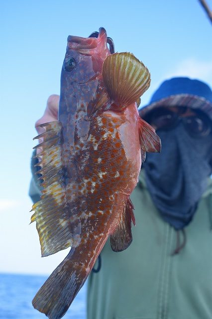 Fisherman Dreams DI 釣…