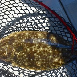 Fisherman Dreams DI 釣果