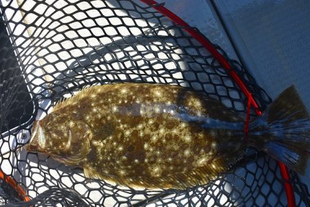 Fisherman Dreams DI 釣果