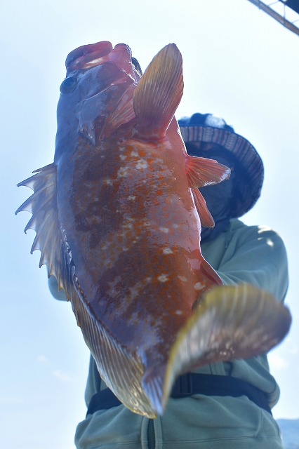 Fisherman Dreams DI 釣果