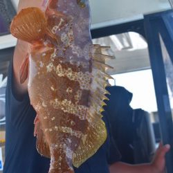 Fisherman Dreams DI 釣果