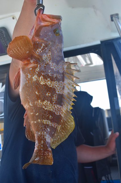 Fisherman Dreams DI 釣果