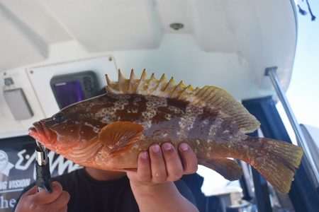 Fisherman Dreams DI 釣果