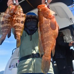 Fisherman Dreams DI 釣果