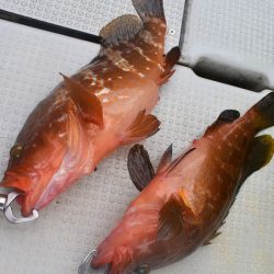 Fisherman Dreams DI 釣果