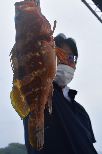 Fisherman Dreams DI 釣果