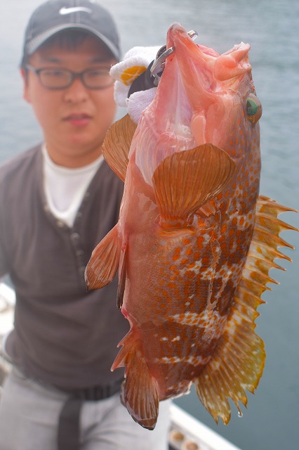 Fisherman Dreams DI 釣果