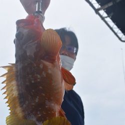 Fisherman Dreams DI 釣果