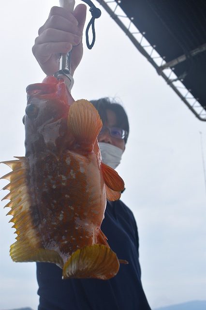 Fisherman Dreams DI 釣果