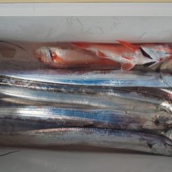 金剛丸 釣果