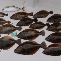 フィッシングボートACE(エース) 釣果