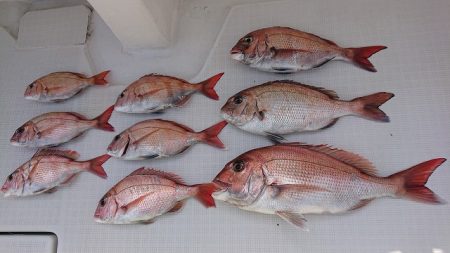 フィッシングボートACE（エース） 釣果