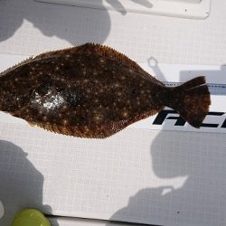 フィッシングボートACE（エース） 釣果