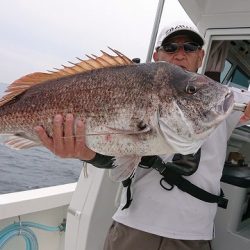 フィッシングボートACE（エース） 釣果