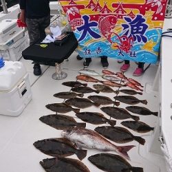 フィッシングボートACE（エース） 釣果