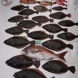 フィッシングボートACE（エース） 釣果