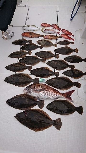 フィッシングボートACE（エース） 釣果