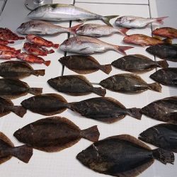 フィッシングボートACE(エース) 釣果