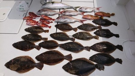 フィッシングボートACE(エース) 釣果