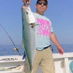 フィッシングボートACE(エース) 釣果