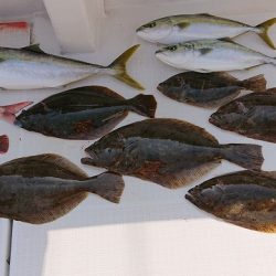 フィッシングボートACE(エース) 釣果