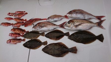 フィッシングボートACE(エース) 釣果