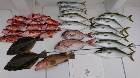 フィッシングボートACE（エース） 釣果