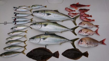 フィッシングボートACE(エース) 釣果