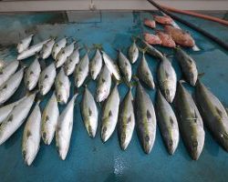 アジアマリンサービス 釣果