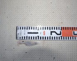 アジアマリンサービス 釣果