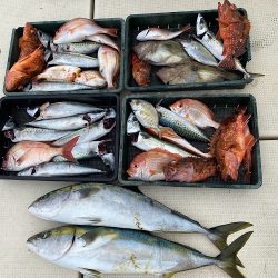 三吉丸 釣果