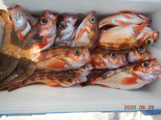 作十丸 釣果