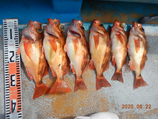 作十丸 釣果