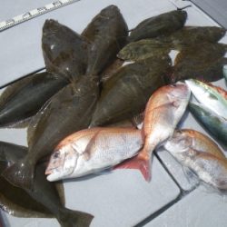 磯部釣船 直栄丸 釣果