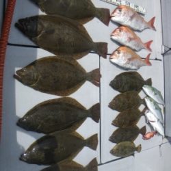 磯部釣船 直栄丸 釣果