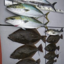 磯部釣船 直栄丸 釣果