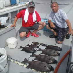 磯部釣船 直栄丸 釣果