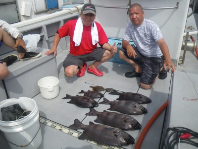 磯部釣船 直栄丸 釣果