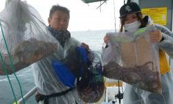 恵比寿丸(兵庫) 釣果