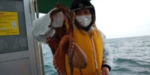 恵比寿丸(兵庫) 釣果